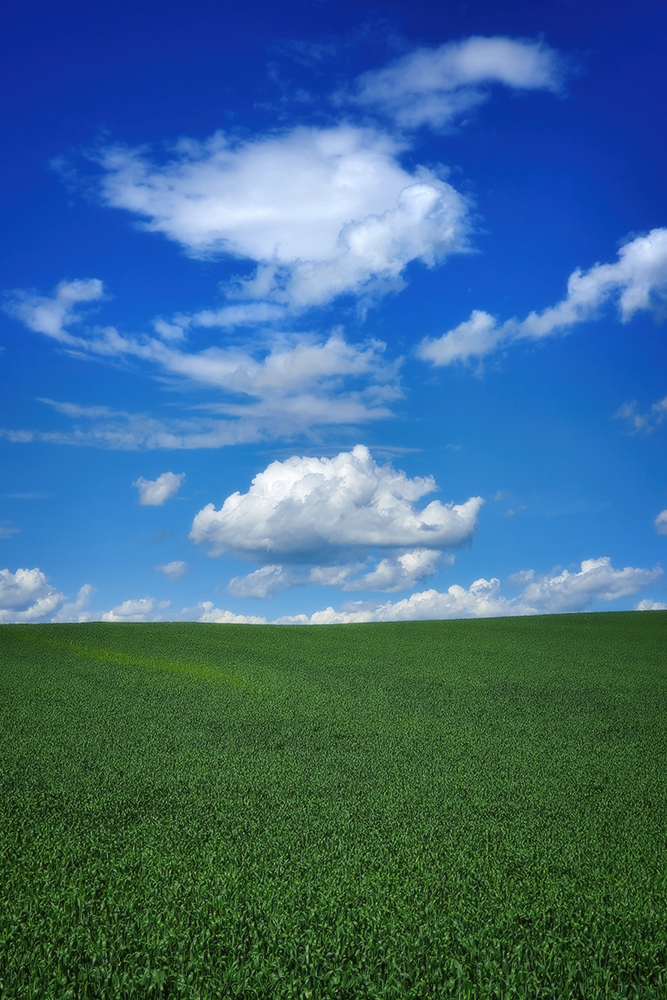 It's the Simple Things, Hwy 20 Near Bentley, AB, 2020-07-13