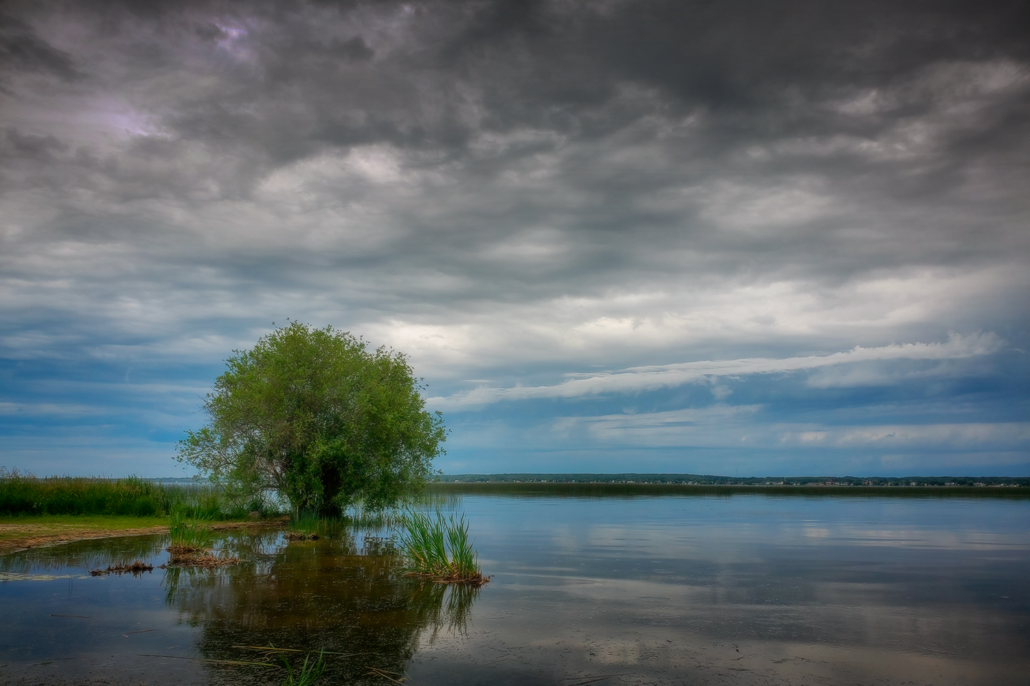 Tree at the Shore of Lac St. Anne, Alberta Beach, AB, 2020-07-09