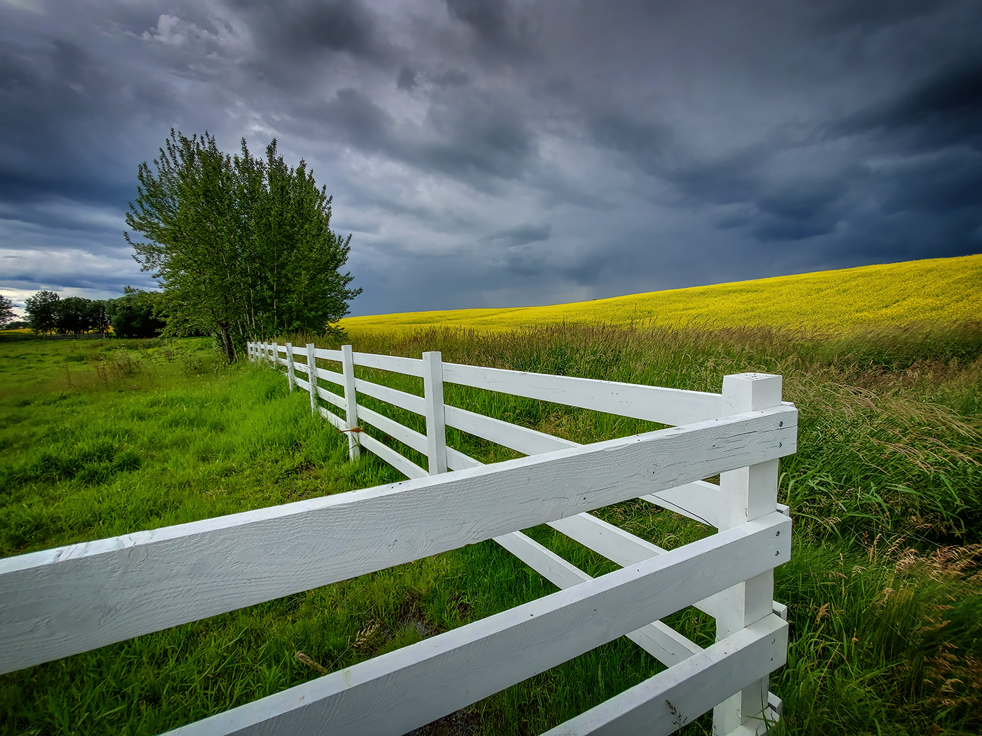 Fenced In, Hwy 20 Near Bentley, AB, 2020-07-13