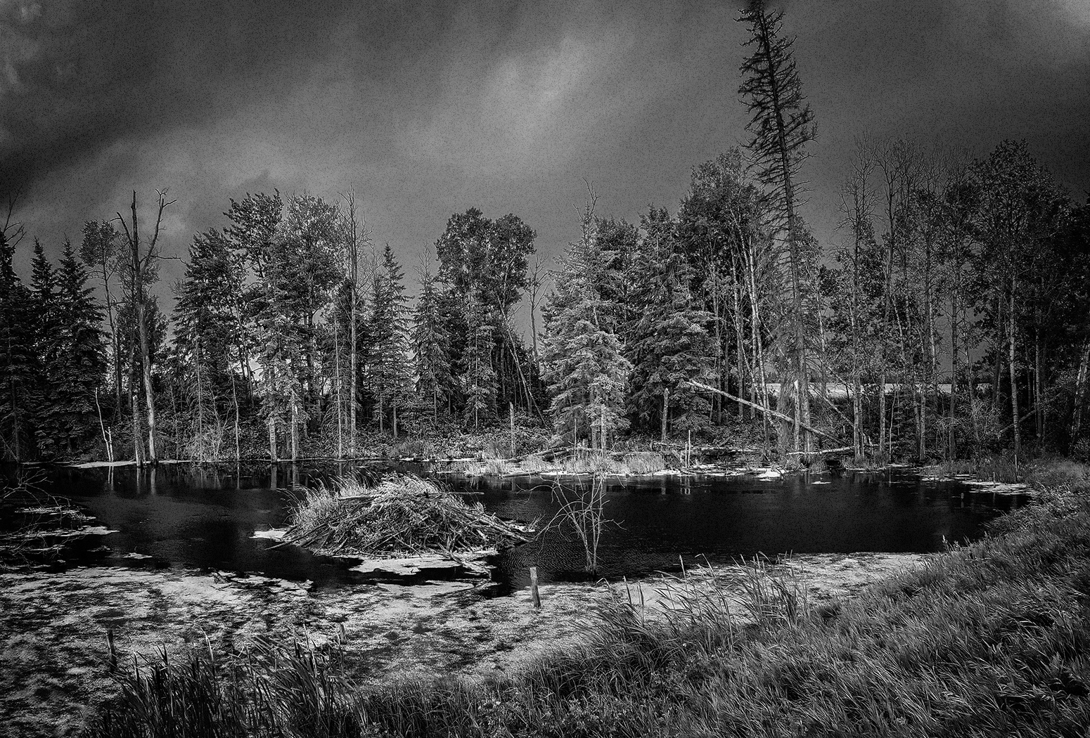 Dam It Janet, Simulated Ilford Delta 100, Some Highway in Alberta, 2020-07-13