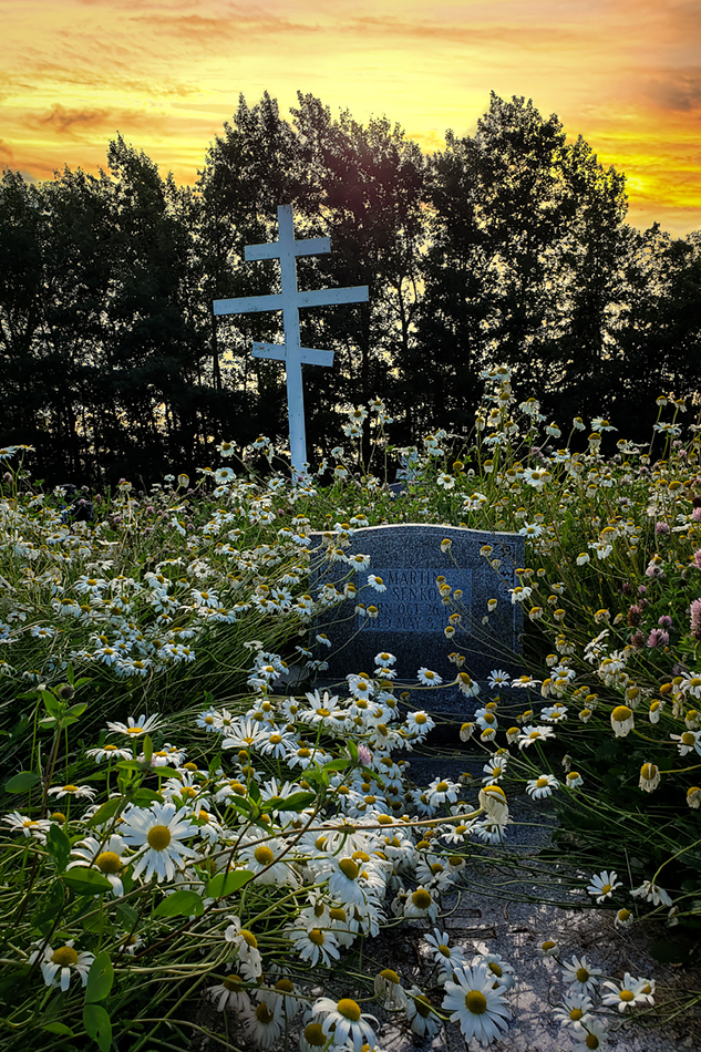 Pushing Up Daisies 01, Ukranian Cemetery, Sunset, Barrhead, AB, 2020-07-17