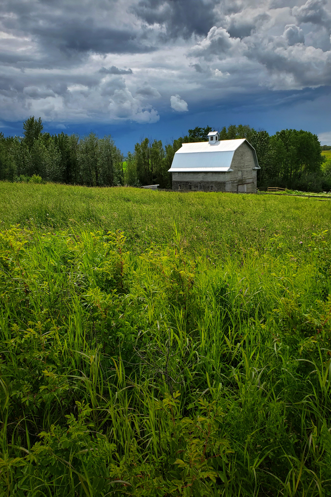 Gosh Barn It All (Portrait), Barrhead County, July 19, 2020