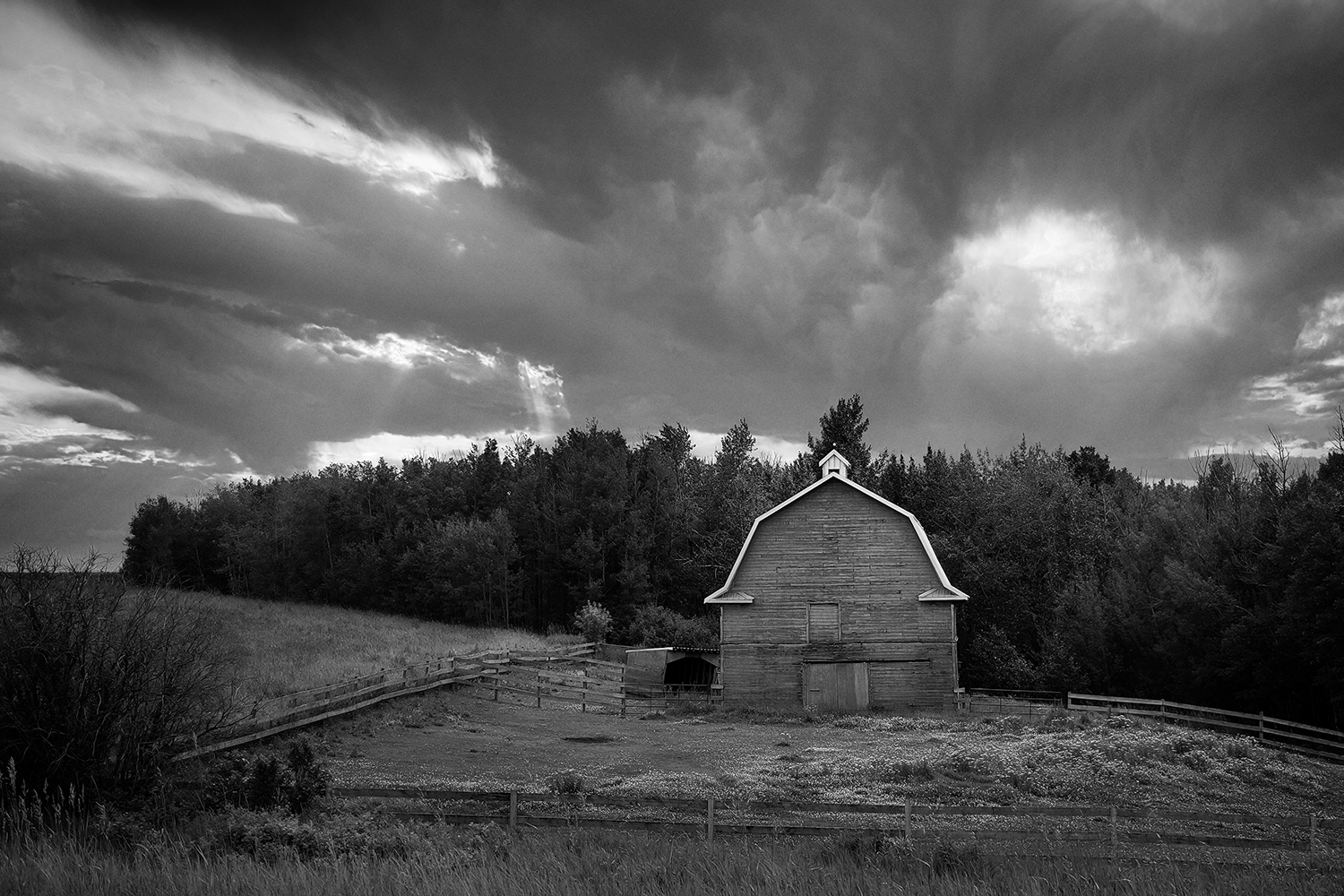Gosh Barn It All (B&W Landscape), Barrhead County, 2020-07-19