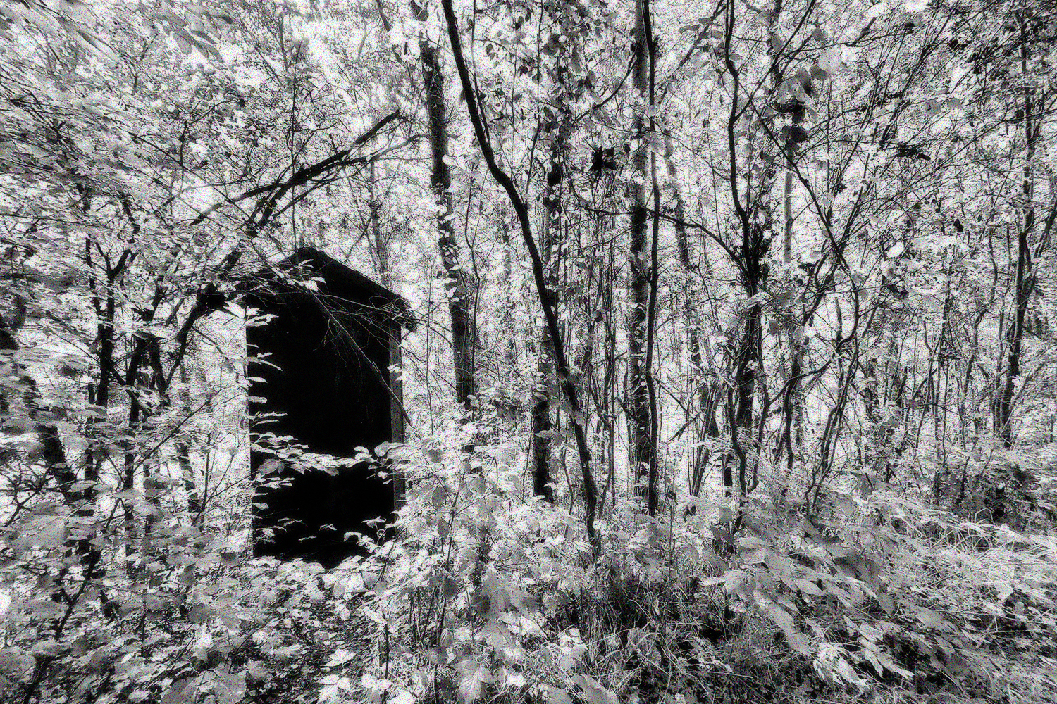 Out of order outhouse, Clifford E. Lee Bird Sanctuary, Spruce Grove, Alberta, 2020-08-29
