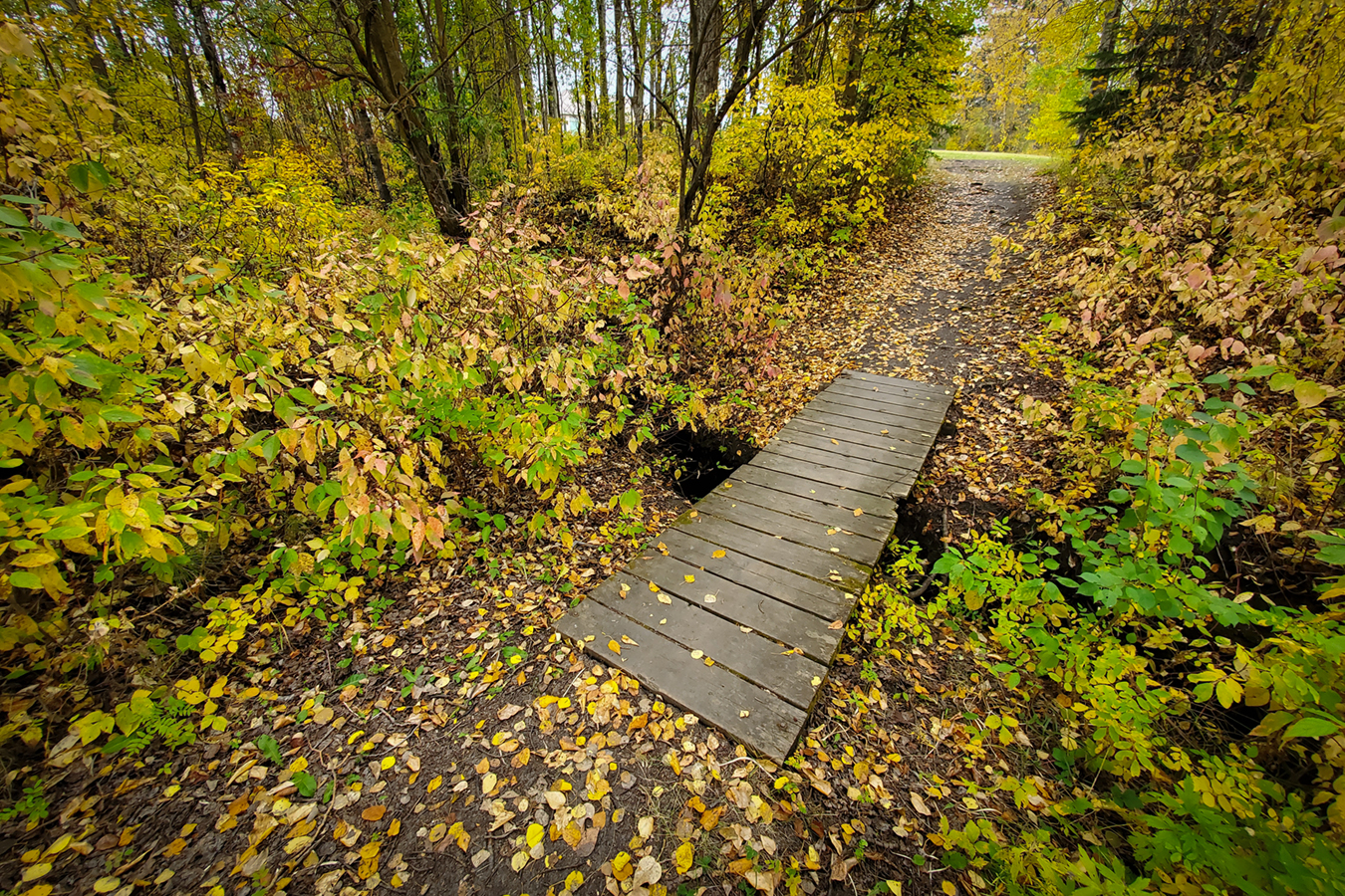 Hidden Foot Bridge, Barrhead, AB, Early Fall 2020