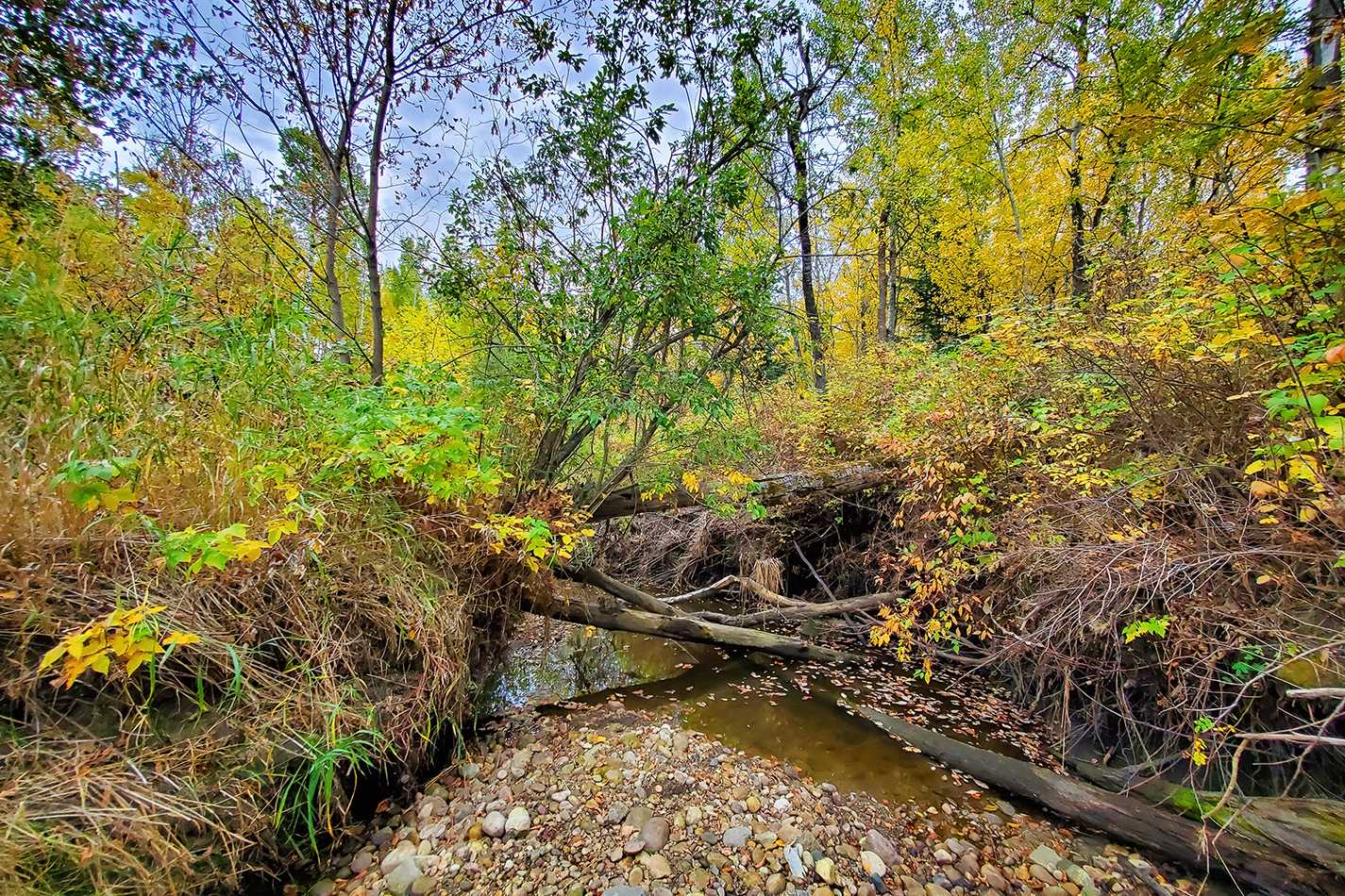 Where the Kids Play, Hidden Forrest, Barrhead, Alberta, 2020-09-20
