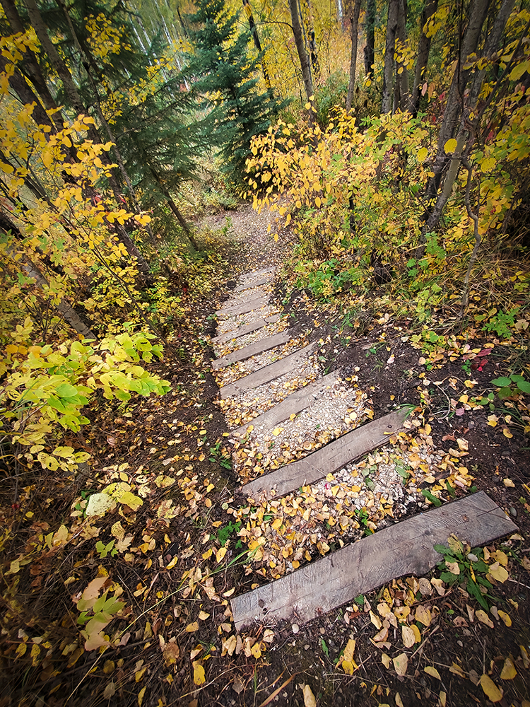 Not handicapped accessible, Barrhead, Alberta, 2020-09-21