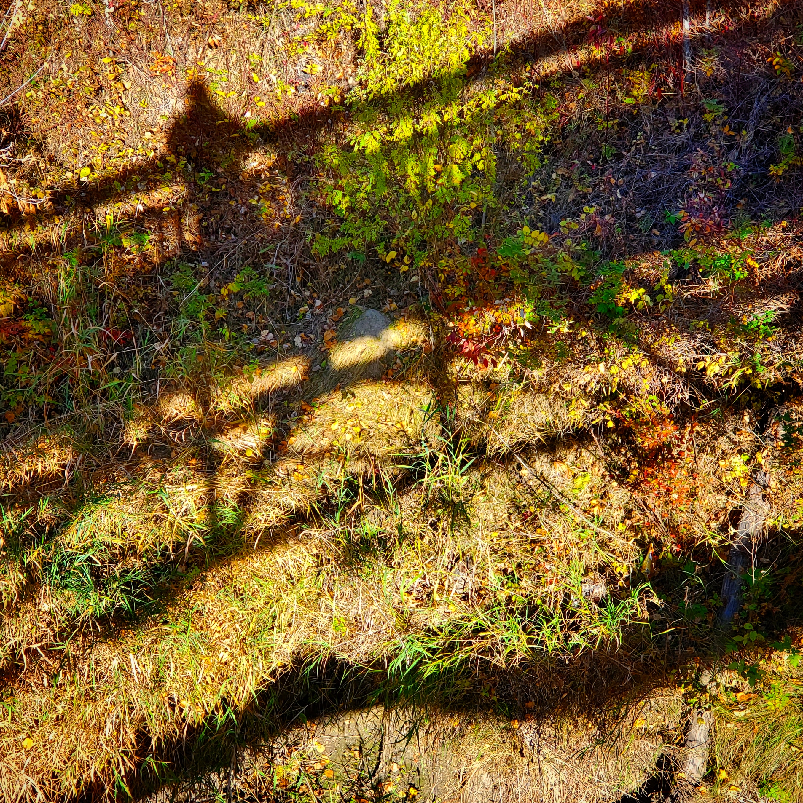 End of season self portrait.