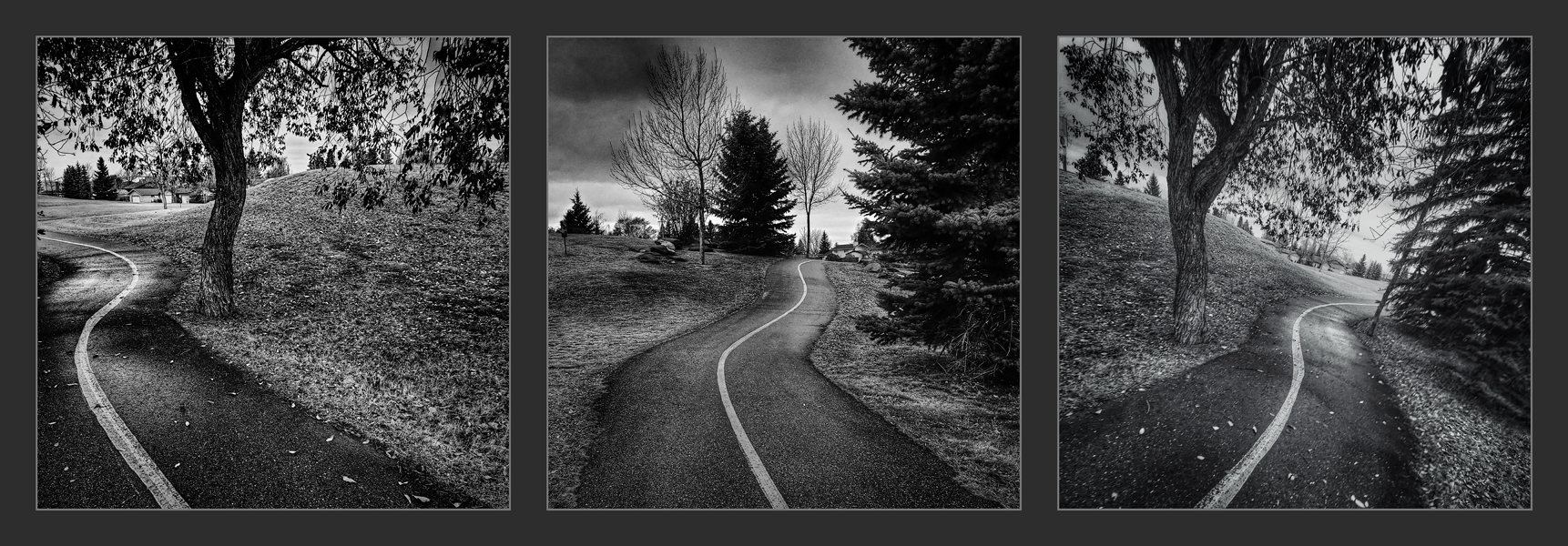 Strath Paths, Triptych, Strathmore, Alberta, October 29, 2020