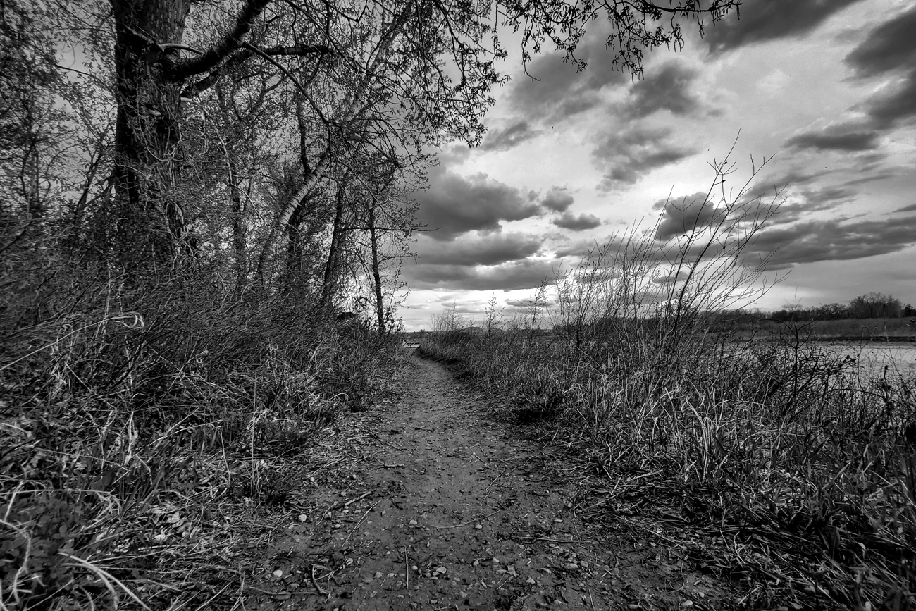 Trail by the Riverbank, Wyndham-Carseland Provincial Park., May 12, 2021