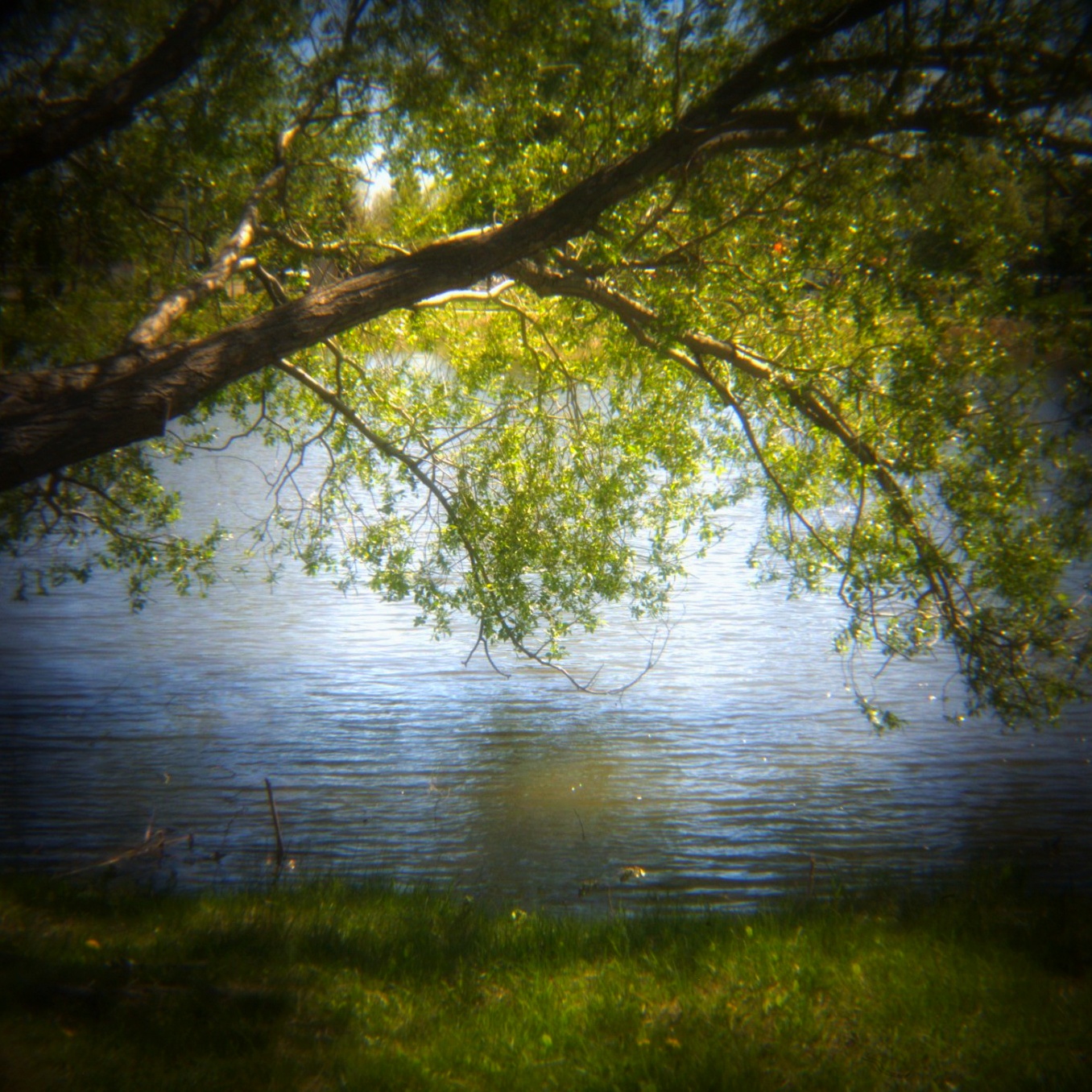 New Leaves, Kinsmen Lake 2