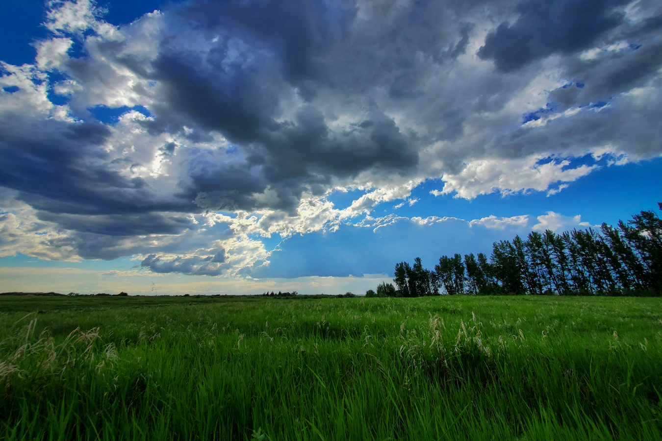 Living Skies, Pasture, Northwest of Strathmore, Alberta, June 15, 2021