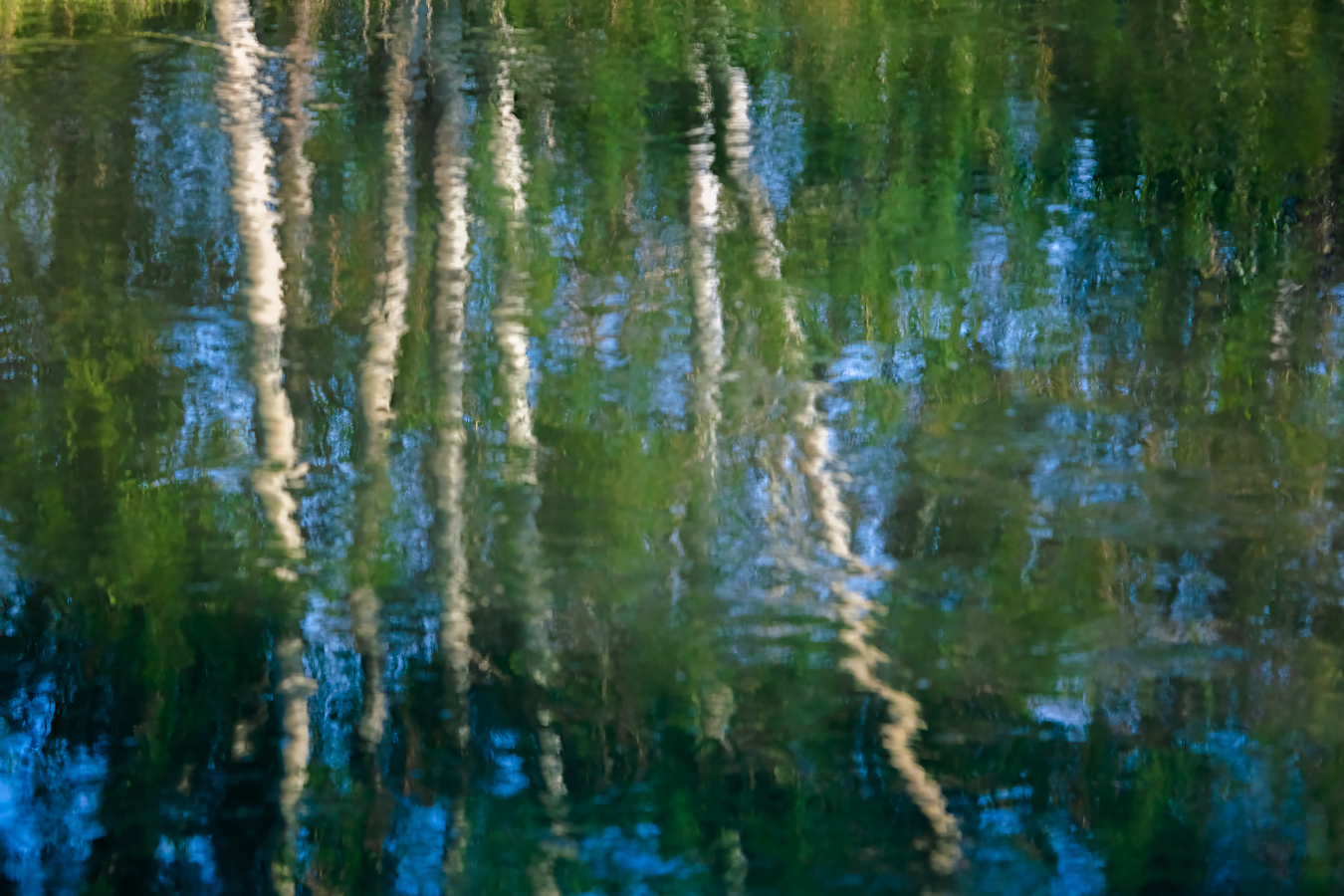 Trees Reflected, Irrigation Canal East of Golf Course, Strathmore, Alberta, June 18, 2021