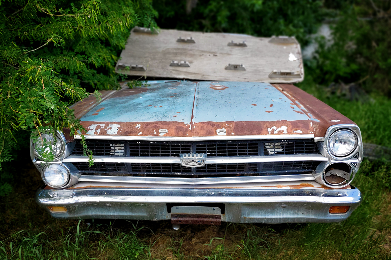 Found On Roadside Dead 1 of 3, Namaka, Alberta, June 20, 2021