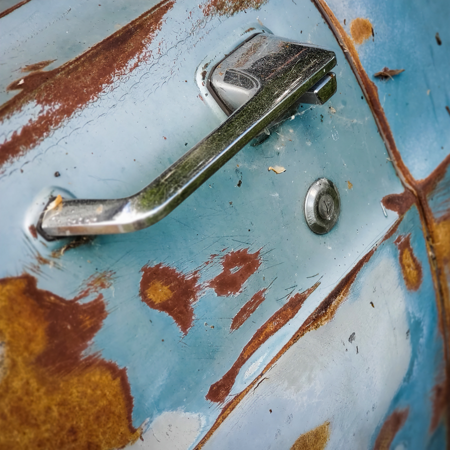 Found On Roadside Dead 3 of 3, Namaka, Alberta, June 20, 2021