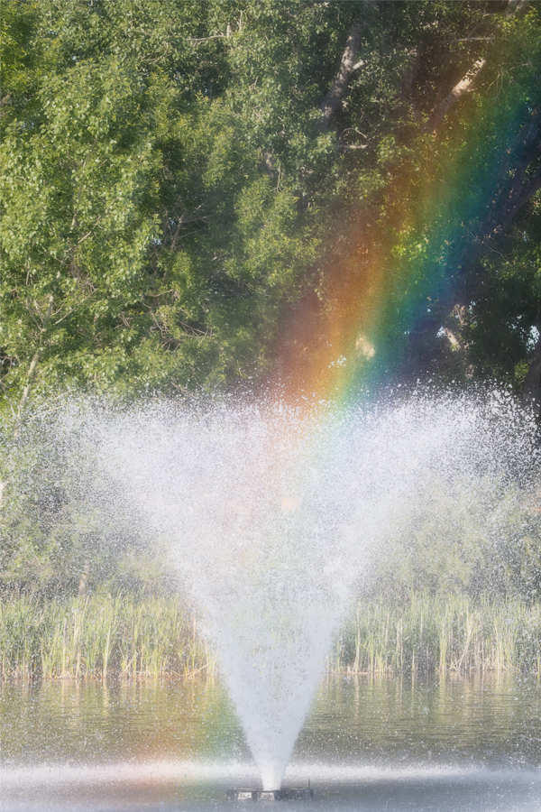 Fountain Rainbow, Kinsmen Lake, Strathmore, Alberta, June 21, 2021