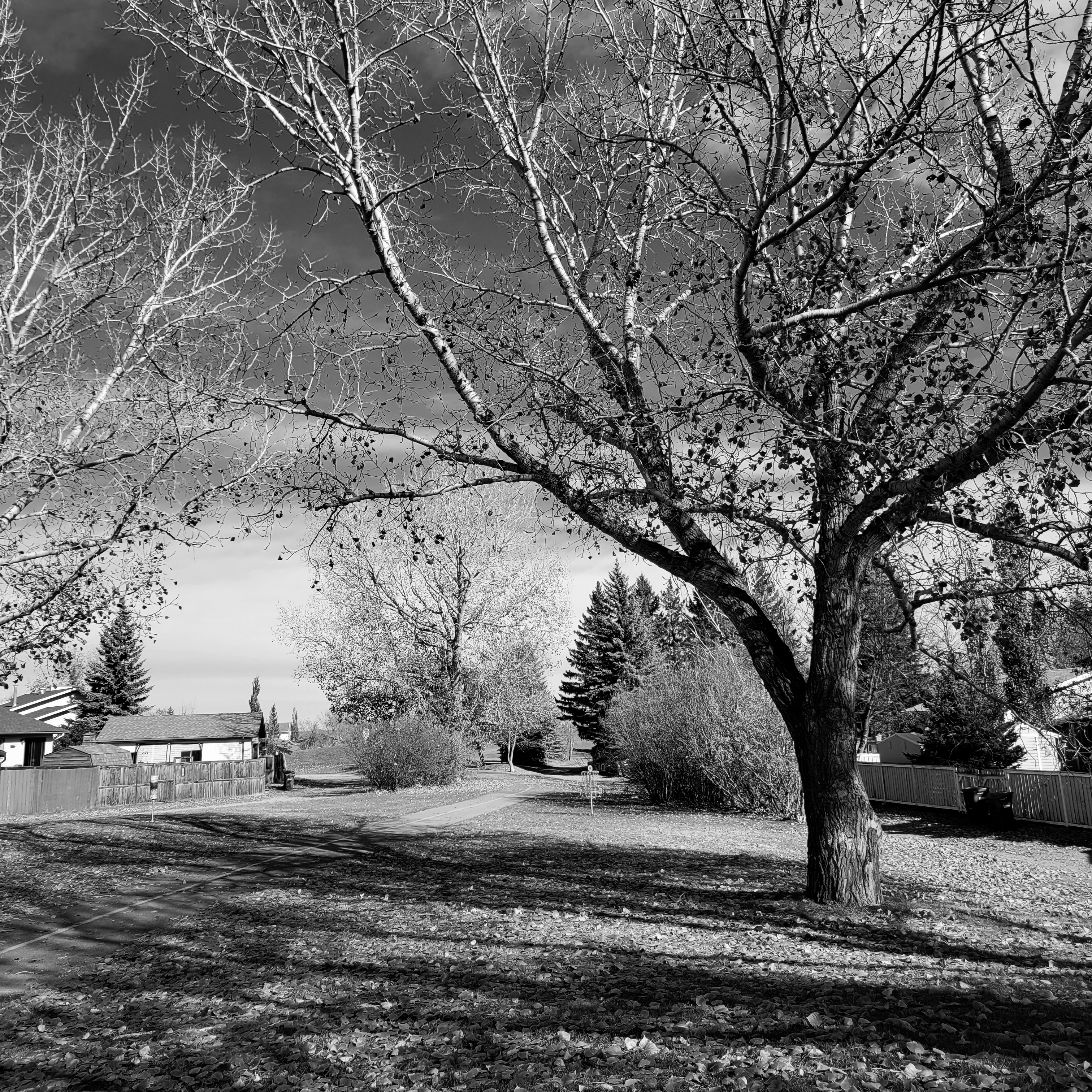 20211015_144251-01