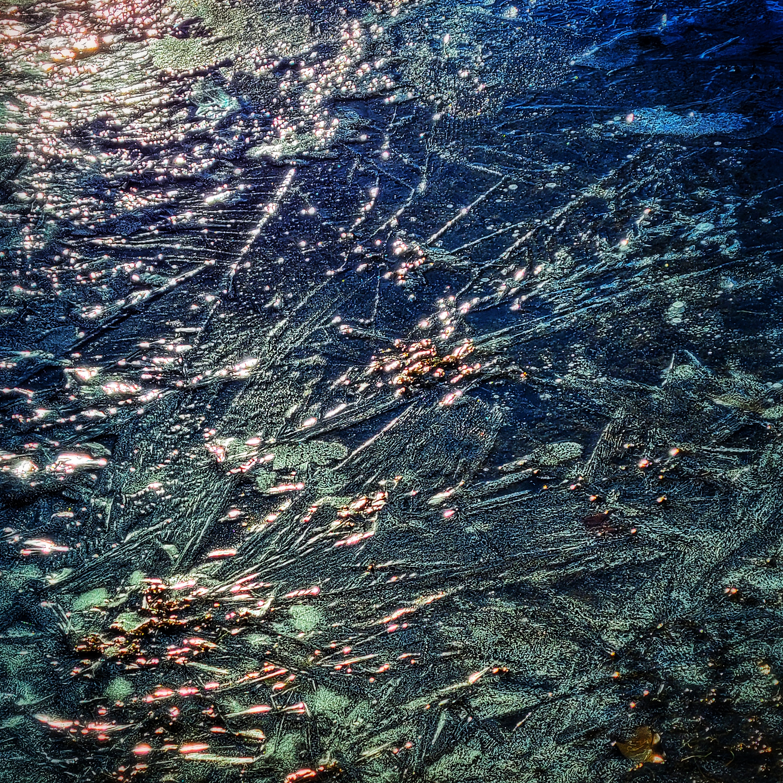 20211111_134006-01