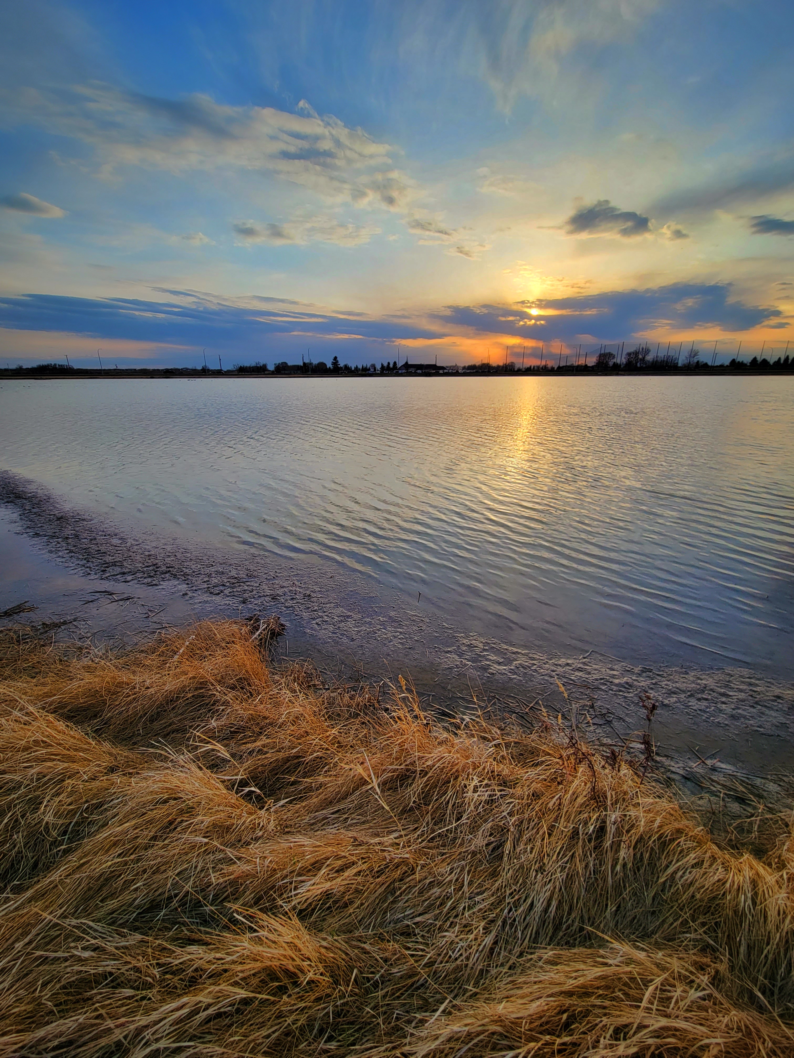Gray's Pond, Sunset, Portrait with Grassy Foreground, 2022-05-02