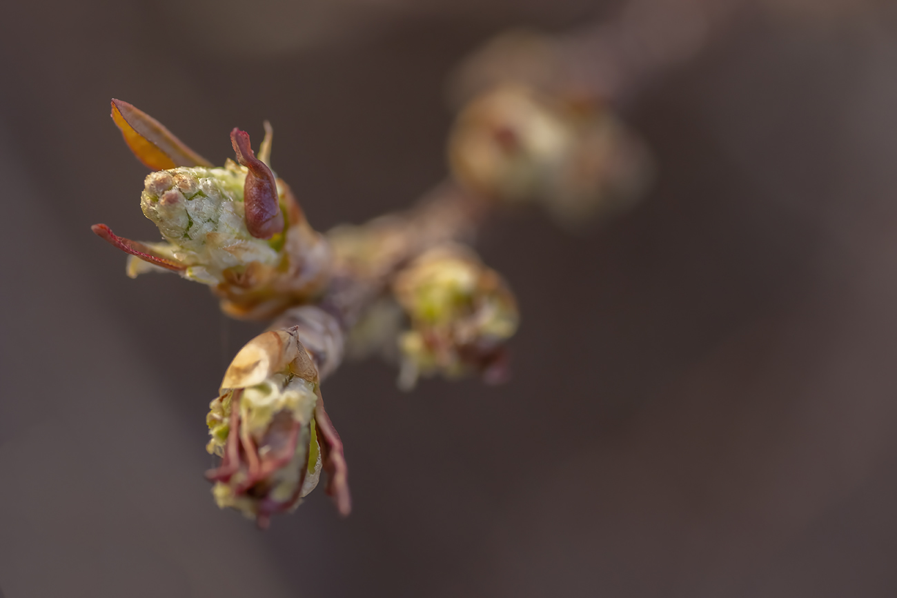 Reaching