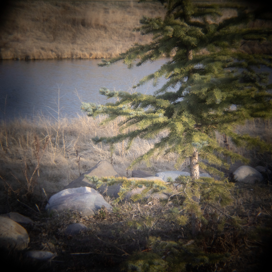 Spruced, Holgamatic