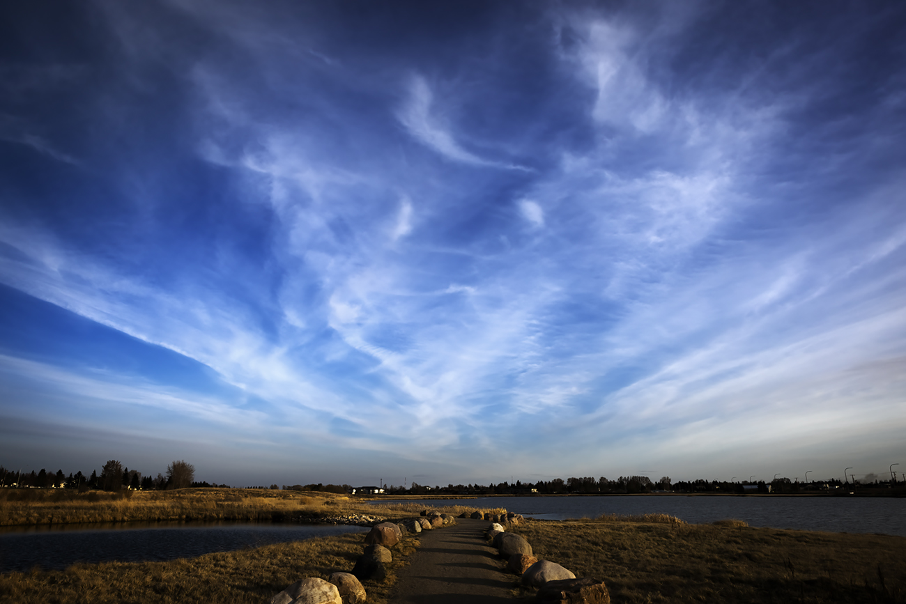 Gray Park, Dat Sky (Kodachrome)