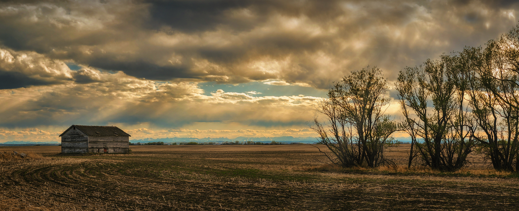 Forlorn Field, Evening Panoramic, Indus Alberta, 2022-05-20
