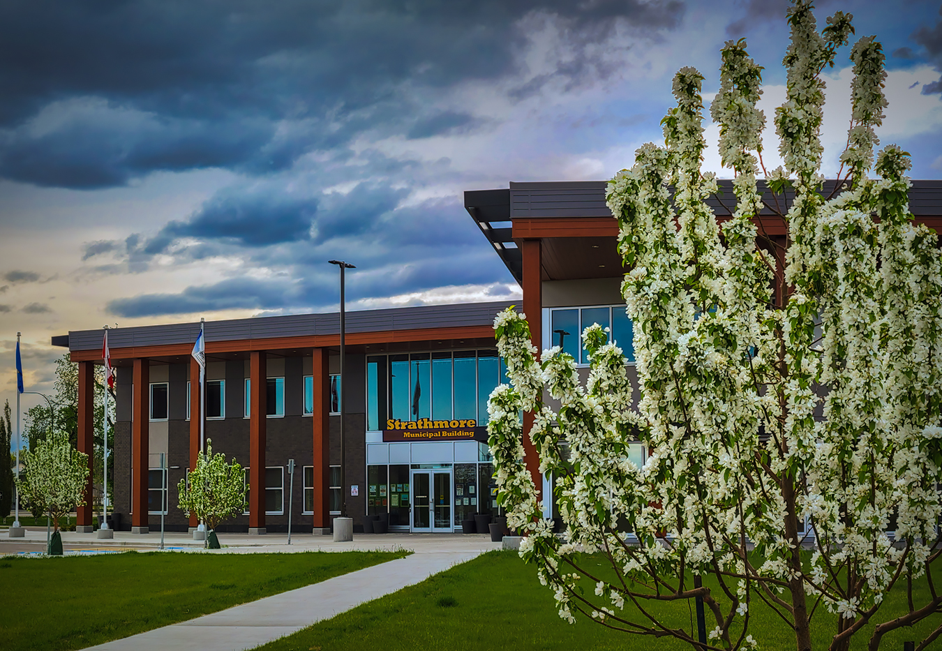 Municipal Building in Bloom, Kinsmen Park, Strathmore, AB, 2022-05-29