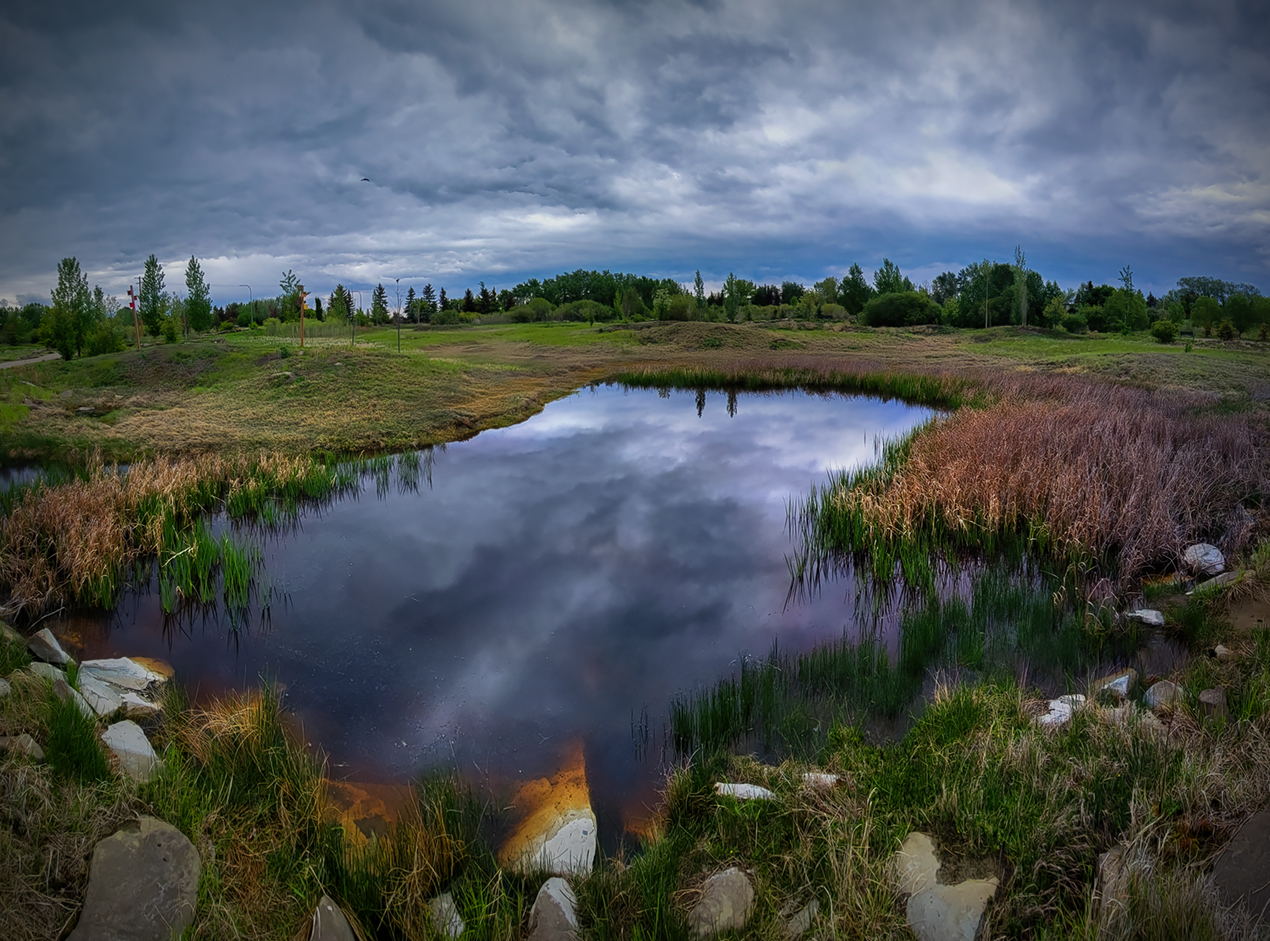 Overcast Lunch Stroll, Gray Park, Strathmore, AB, 2022-06-07
