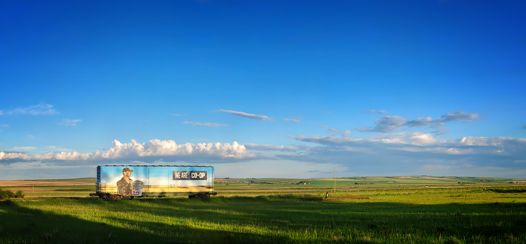 We Are Co-op, Painted Railway Car, Mossleigh, AB, 2022-06-19