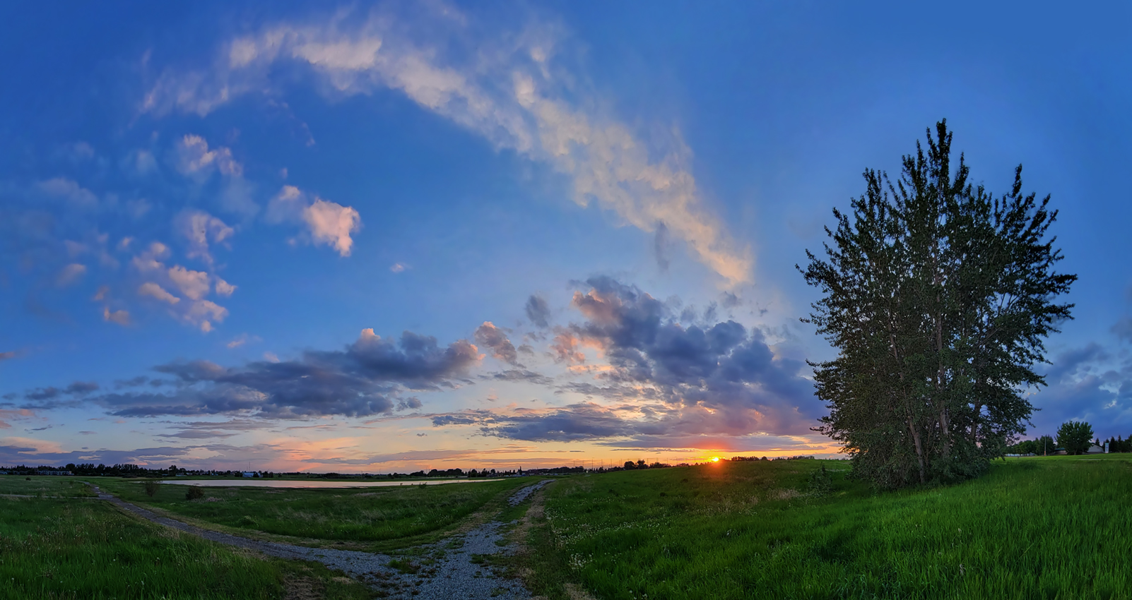 Path to the Pond at Sunset, Strathmore, AB,, 2022-06-20