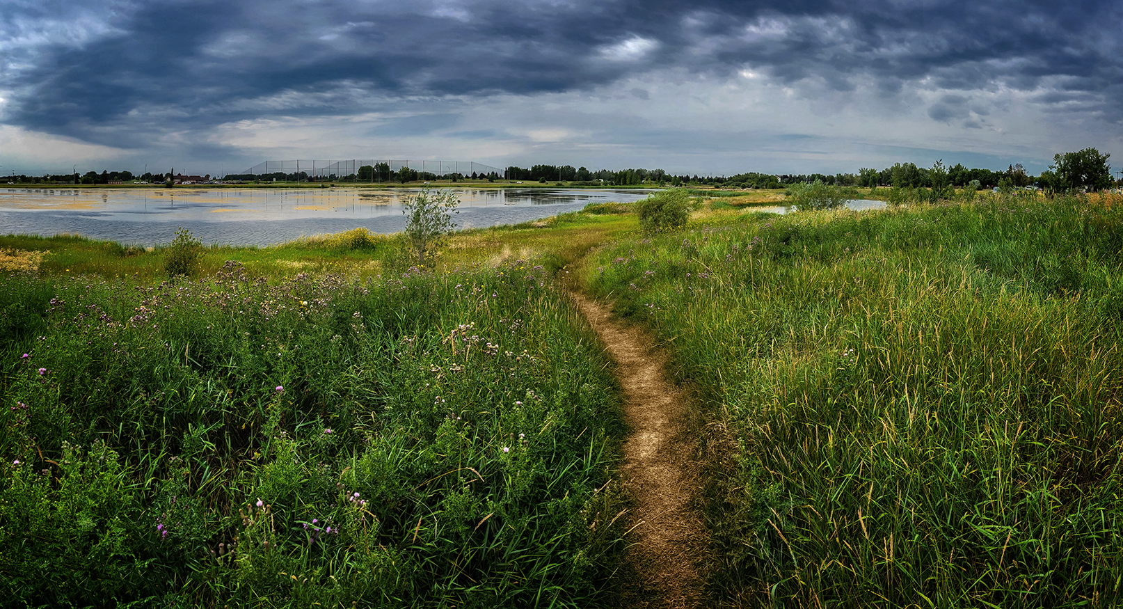 Shortcut through the grass, Gray Park, Strathmore, AB, 2022-08-10