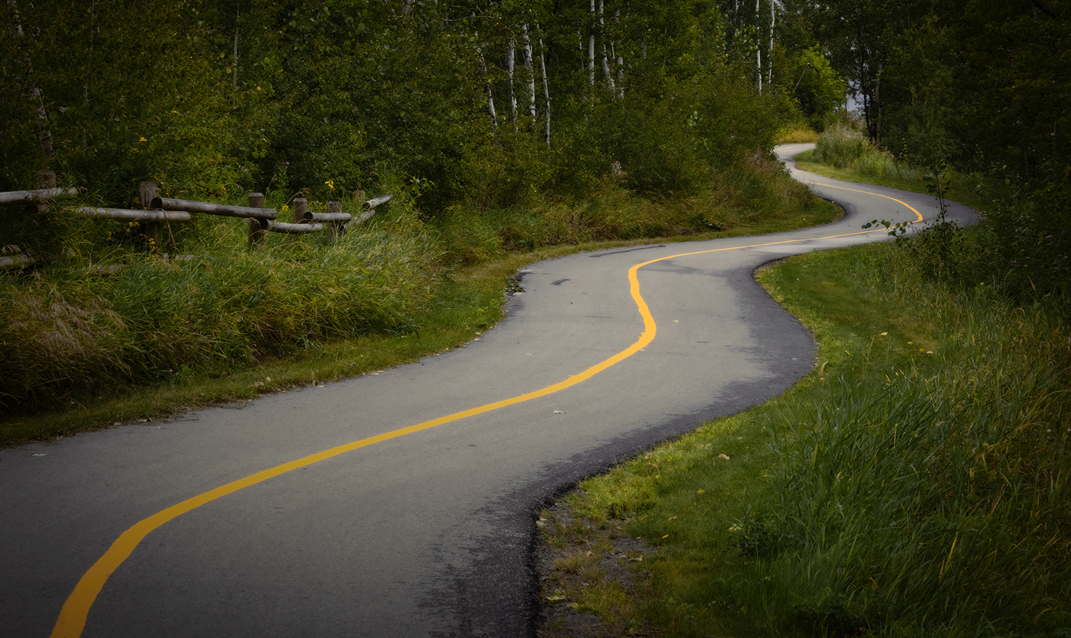 Sobriety Test, Telford Lake Trails, Leduc, Alberta, 2022-08-27