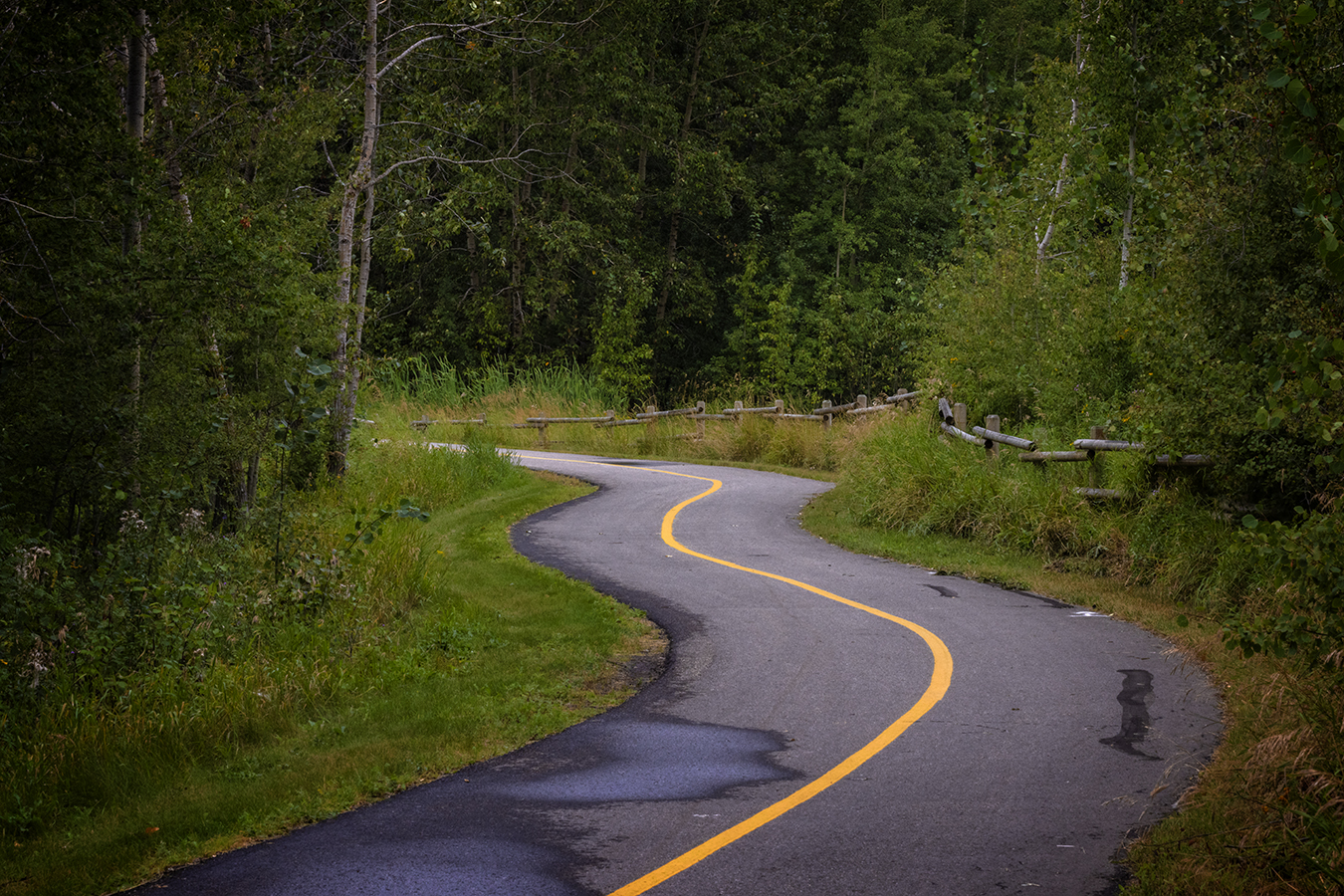 Meandering Path, Telford Lake Trails, Leduc, Alberta, 2022-08-27