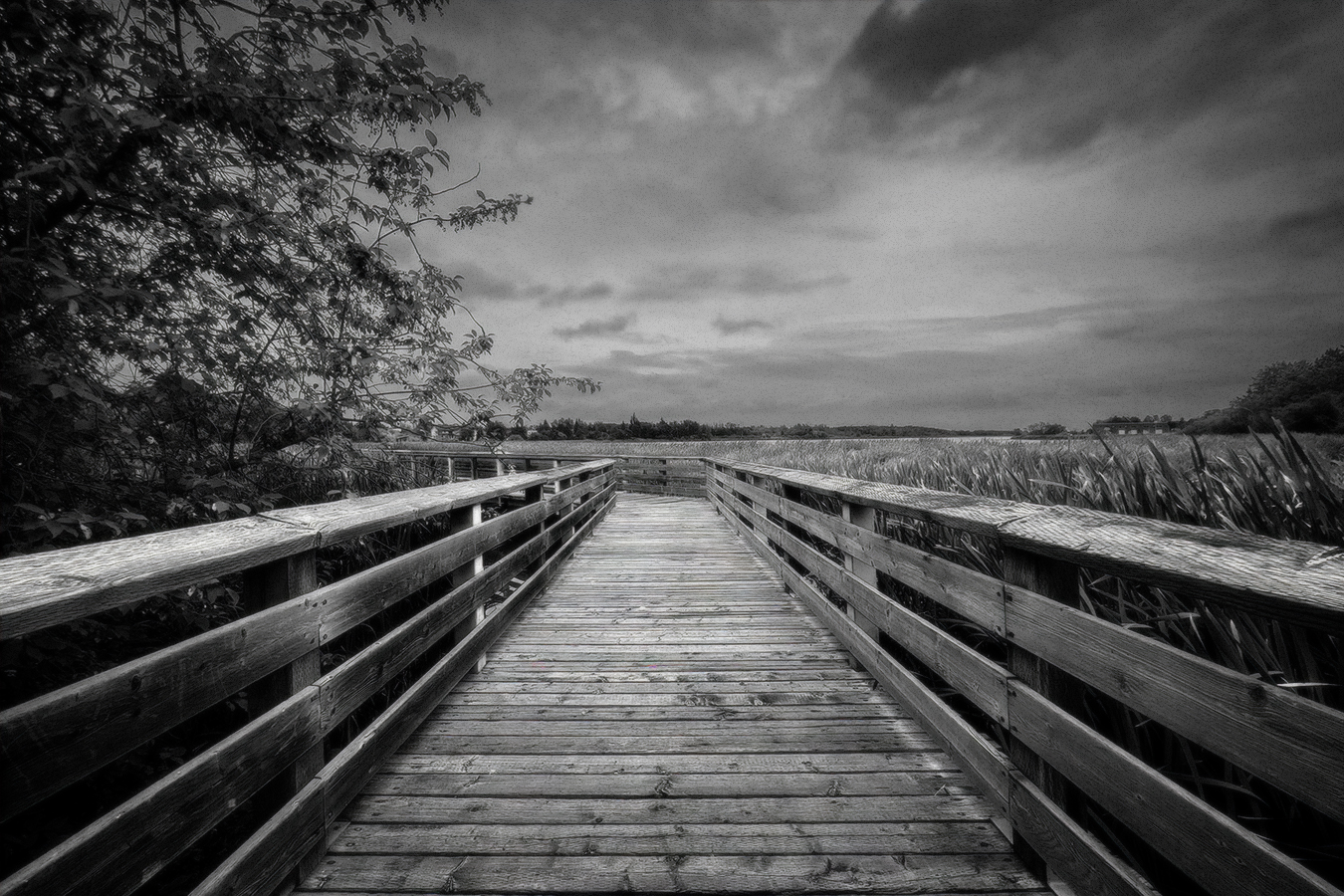 Entry to Boardwalk, Telford Lake Trails, Leduc, Alberta, 2022-08-27