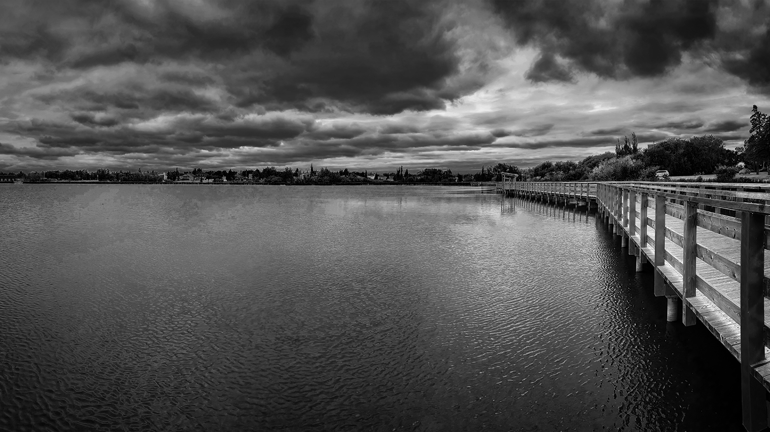 Boardwalk in B&W, Telford Lake Trails, Leduc, Alberta, 2022-08-27