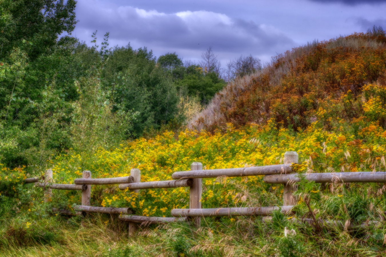 Boundary Issues, Telford Lake Trails, Leduc, Alberta, 2022-08-27