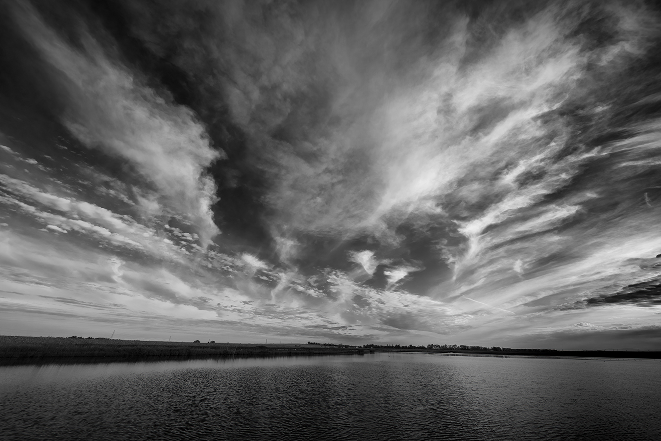 Skyscape Over Wetlands 02 in B&W, Ralph Klein Park, Calgary, Alberta, 2022-09-22