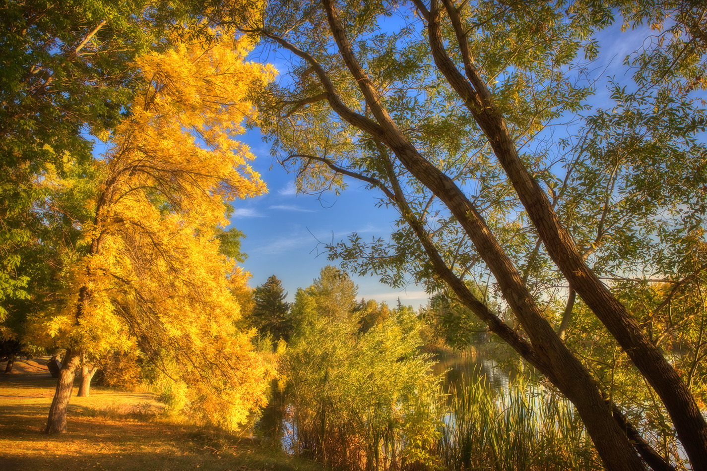 Contrasting angles and colours, Kinsmen Lake, Strathmore, Alberta, 2022-09-27