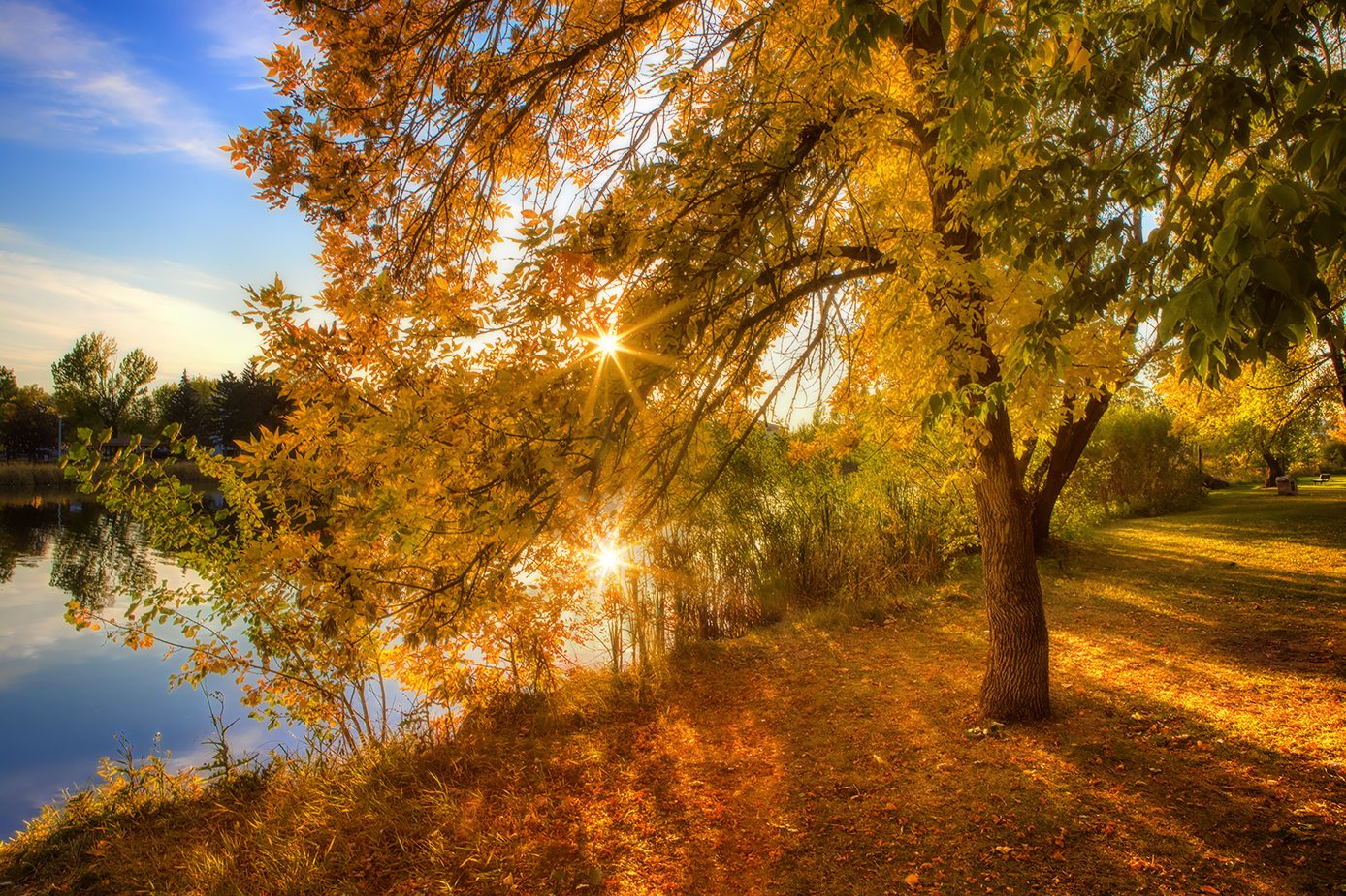 On Golden Pond, Kinsmen Lake, Strathmore, Alberta, 2022-09-27
