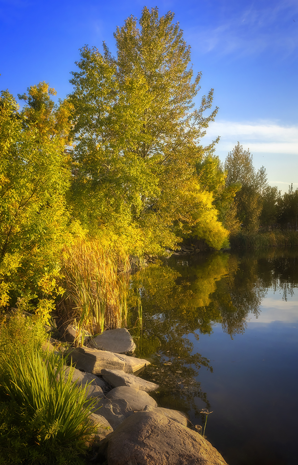 At the water's edge, Kinsmen Lake, Strathmore, Alberta, 2022-09-27