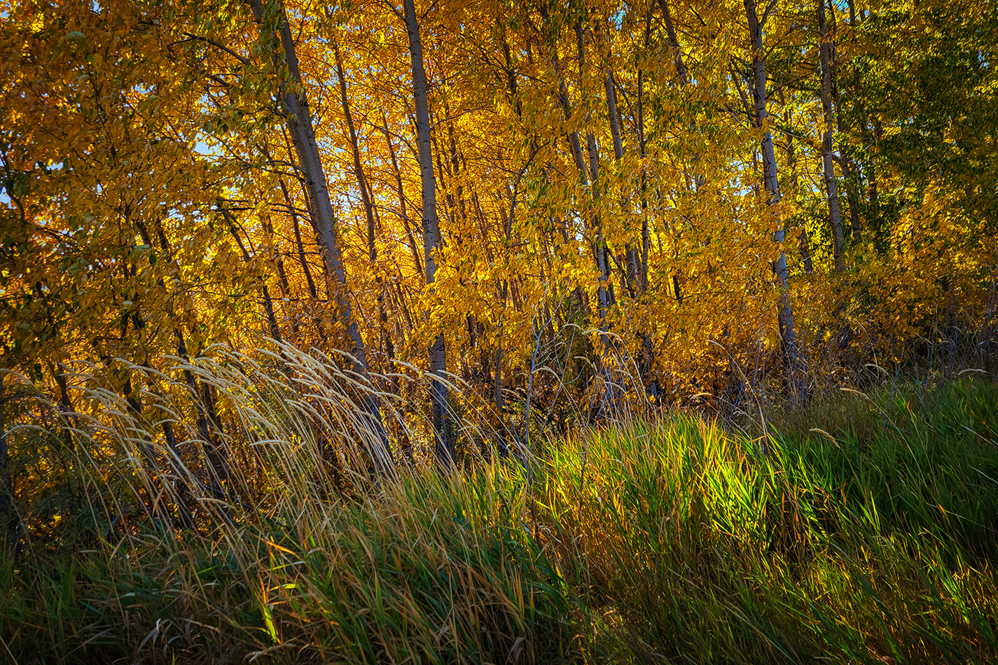 On the Edge, Gray Park, Strathmore, AB, 2022-10-04