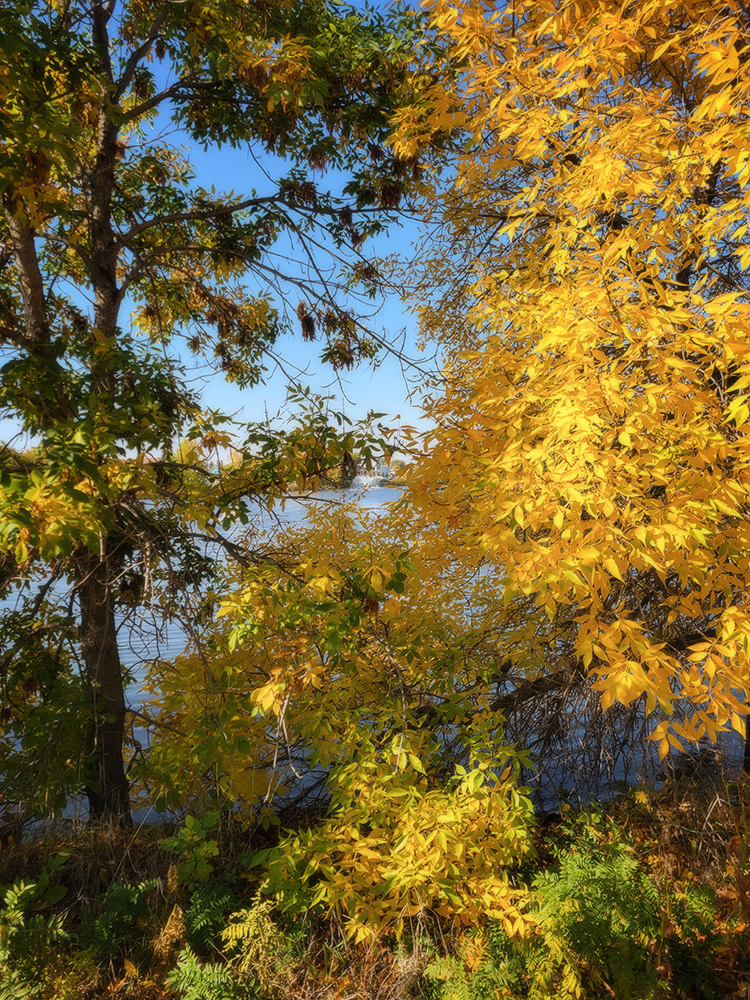 Stalking the Shoreline, Portrait, Kinsmen Park, Strathmore, AB, 2022-10-06