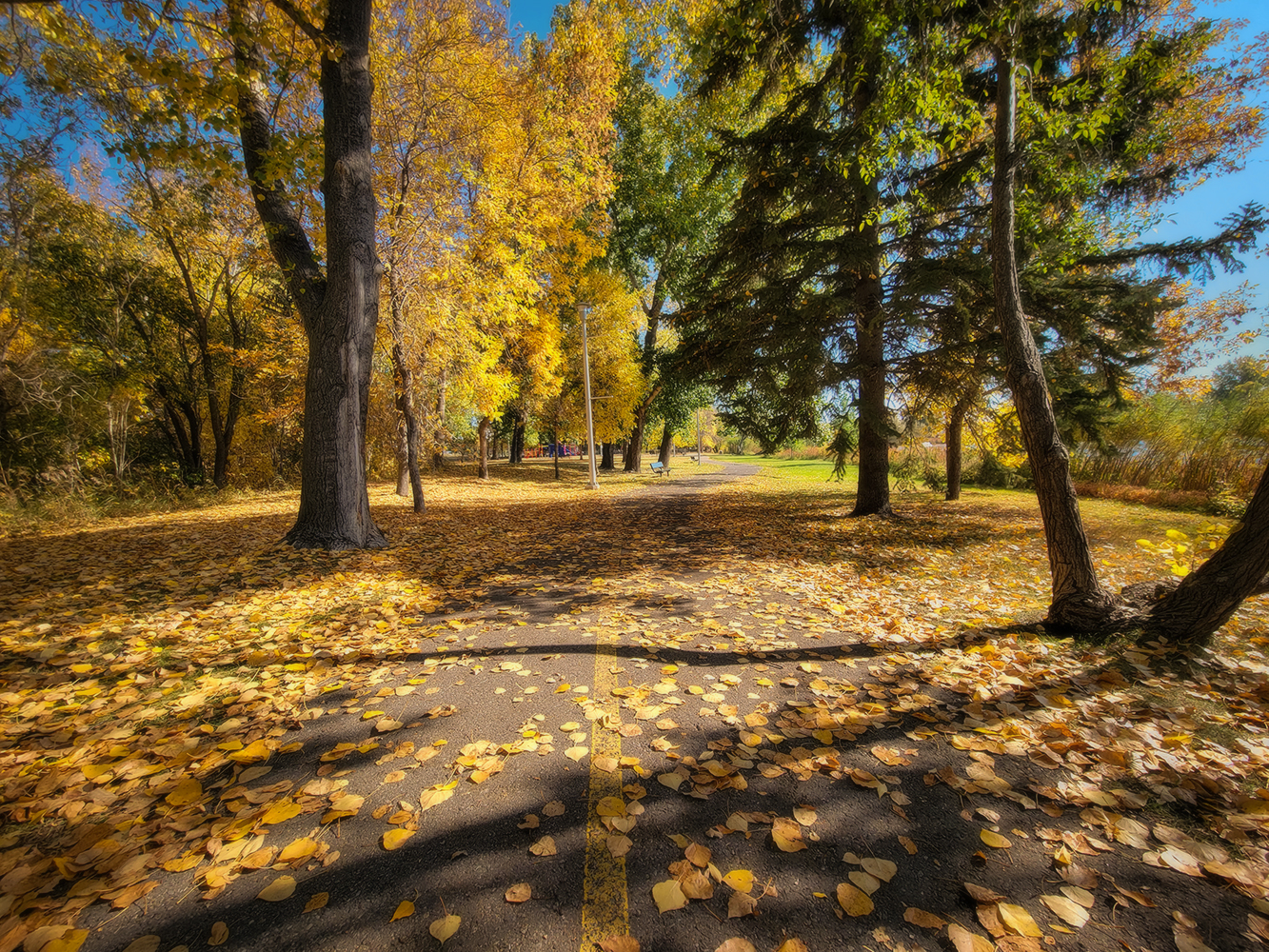 Strath Path, Kinsmen Park, Strathmore, AB, 2022-10-06