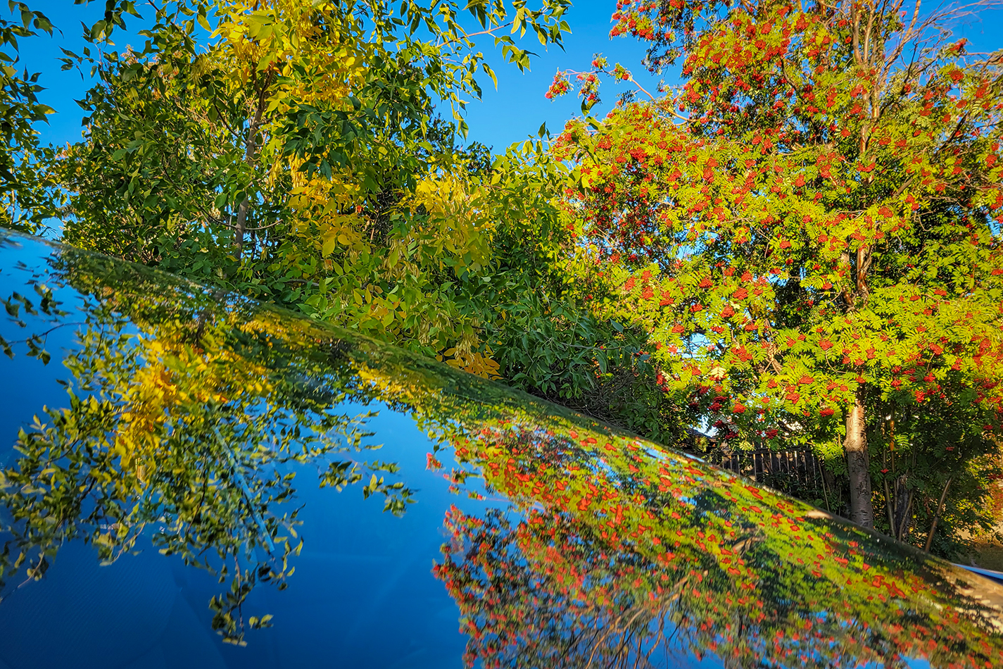 Fall Reflections, My Back Yard, Strathmore, AB, 2022-09-21