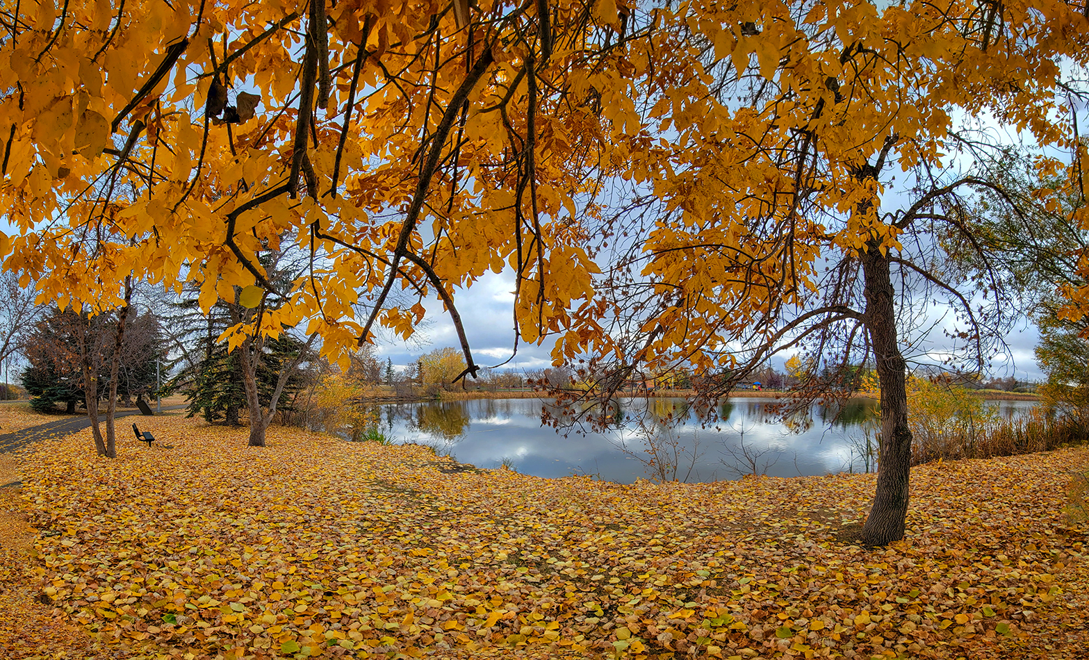 The End Is Nigh, Kinsmen Park, Strathmore, AB, 2022-10-21