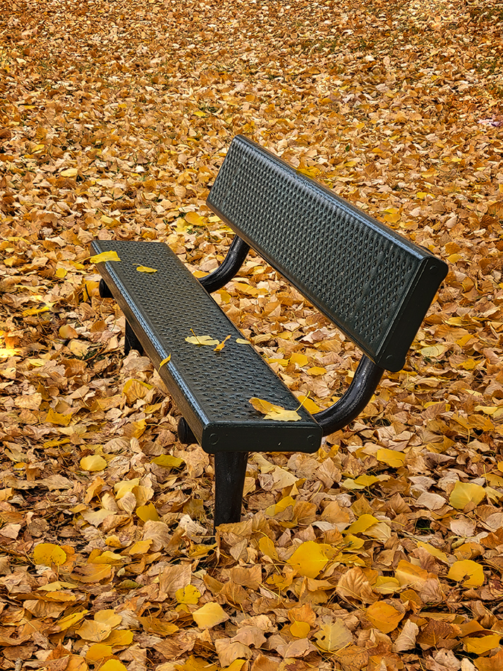 Benched Again, Kinsmen Park, Strathmore, AB, 2022-10-21