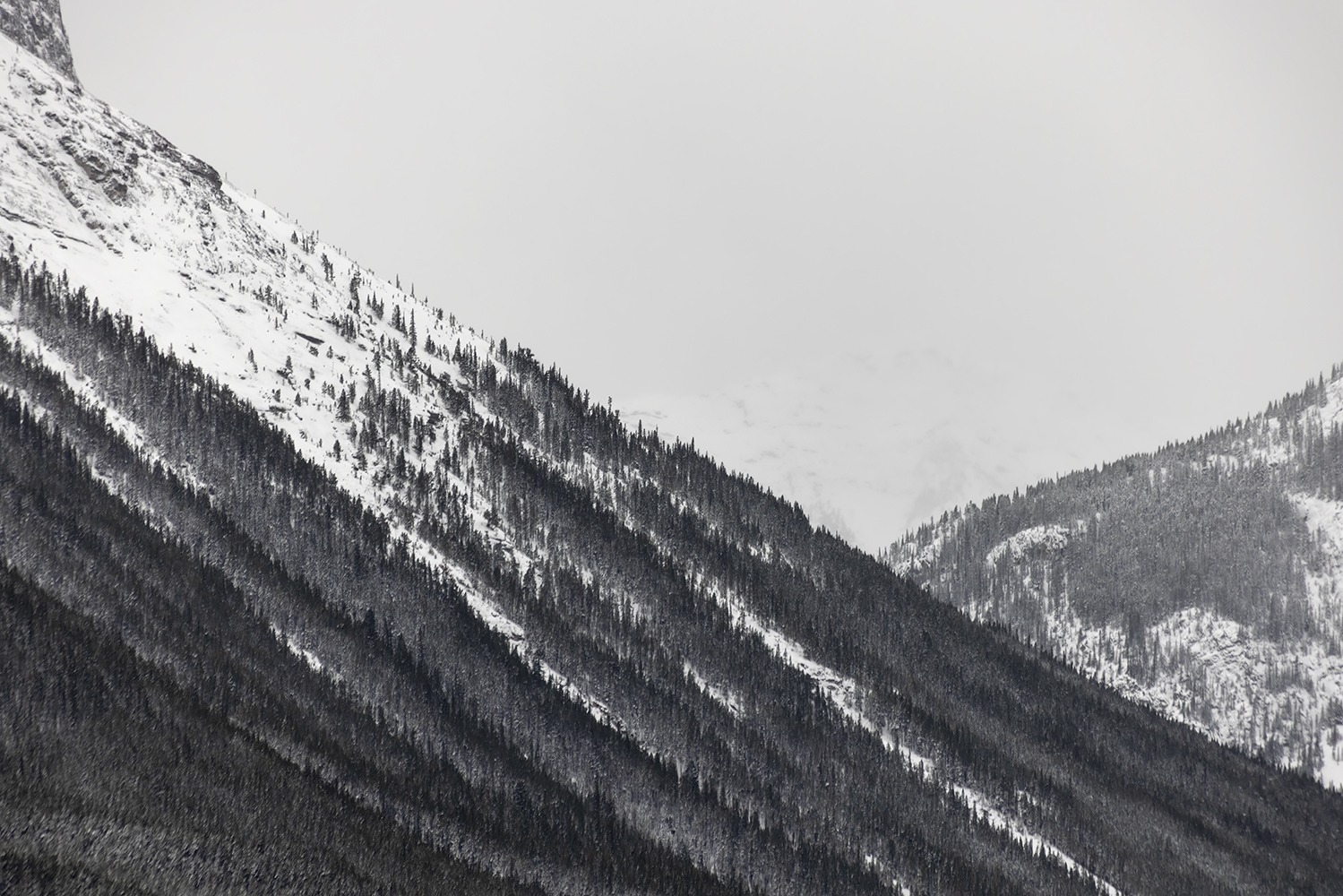Everyone has an angle, Les Trois Soeurs, Canmore, AB, 2022-11-05