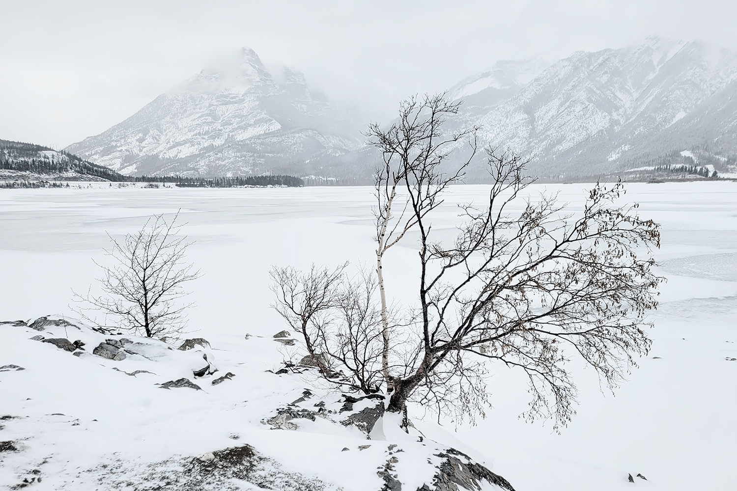Lac des Arcs on a damn cold day : Bow Valley Provincial Park : Alberta : 2022-11-06
