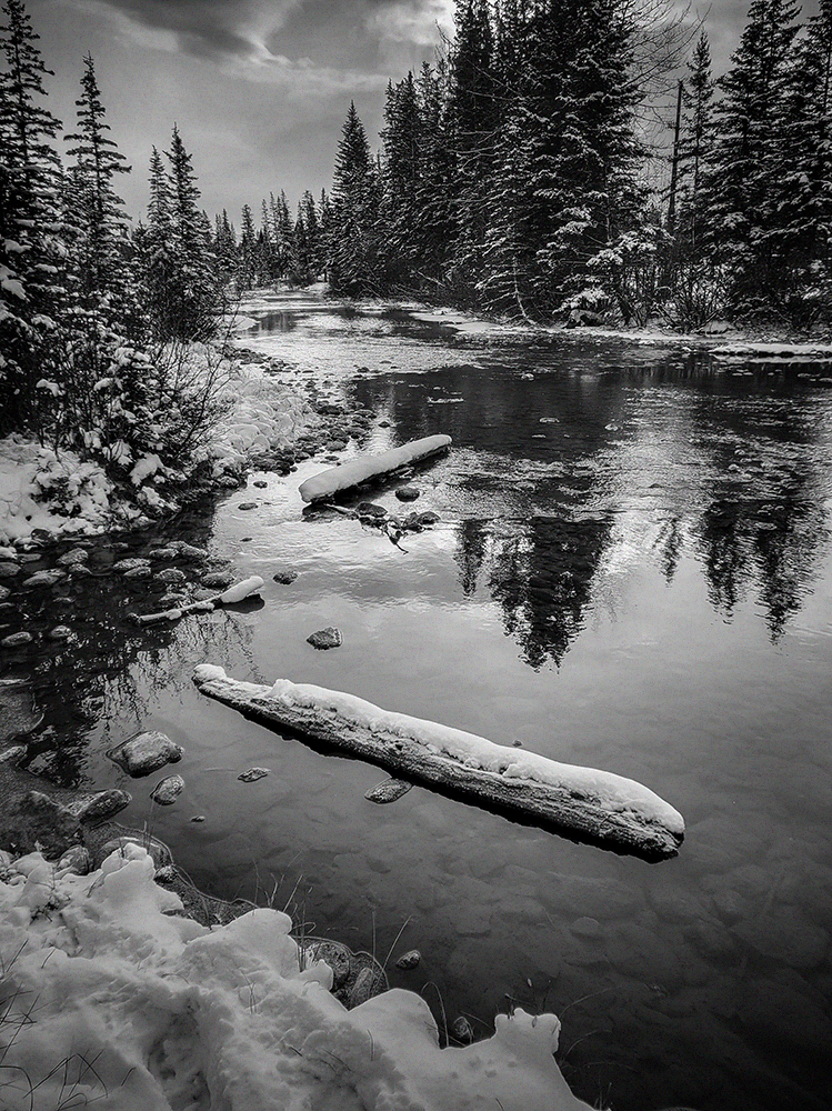Policeman's Creek, Portrait, Town of Canmore, Alberta, 2022-11-06